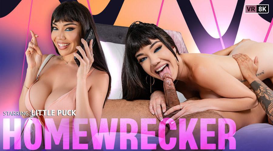 Homewrecker by VR Bangers Starring Little Puck